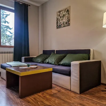 公寓 Charming Mont Blanc Near Lift By Flat Mаnager 班斯科