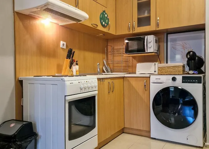 Charming Mont Blanc Near Lift By Flat Mаnager 公寓 班斯科