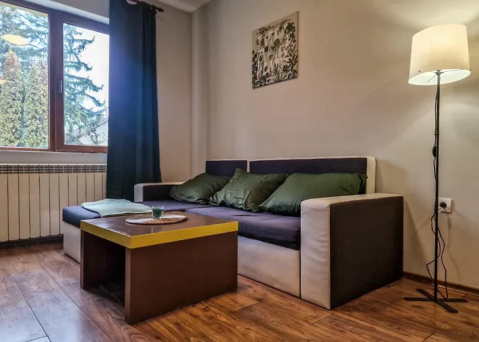 公寓 Charming Mont Blanc Near Lift By Flat Mаnager 班斯科